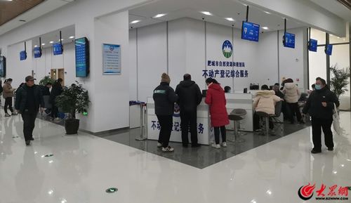 肥城市不動產登記中心 “四個著力”賦能現代服務企業(yè)，不動產登記全程提速增效